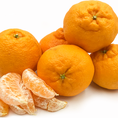 كلمنتين بلا بزر