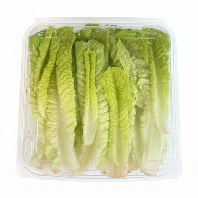 Lettuce Romaine