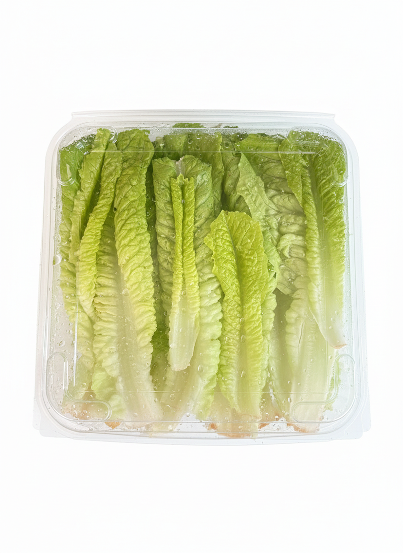 Lettuce Romaine