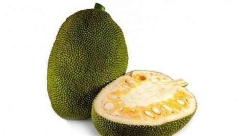 Jackfruit