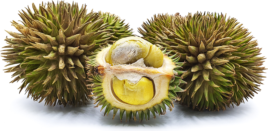 Durian